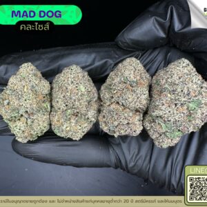 Mad dog