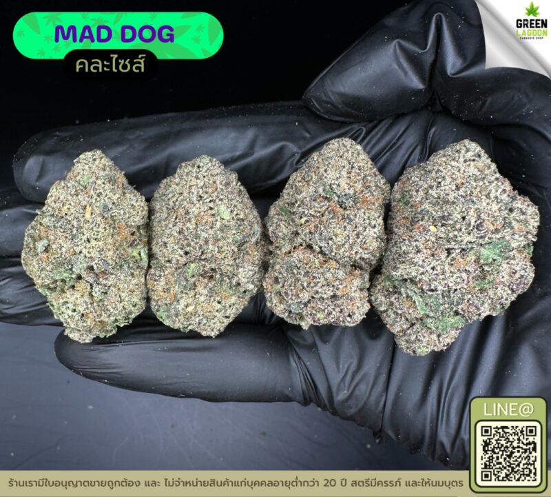 Mad dog