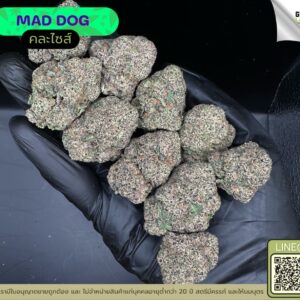 Mad dog
