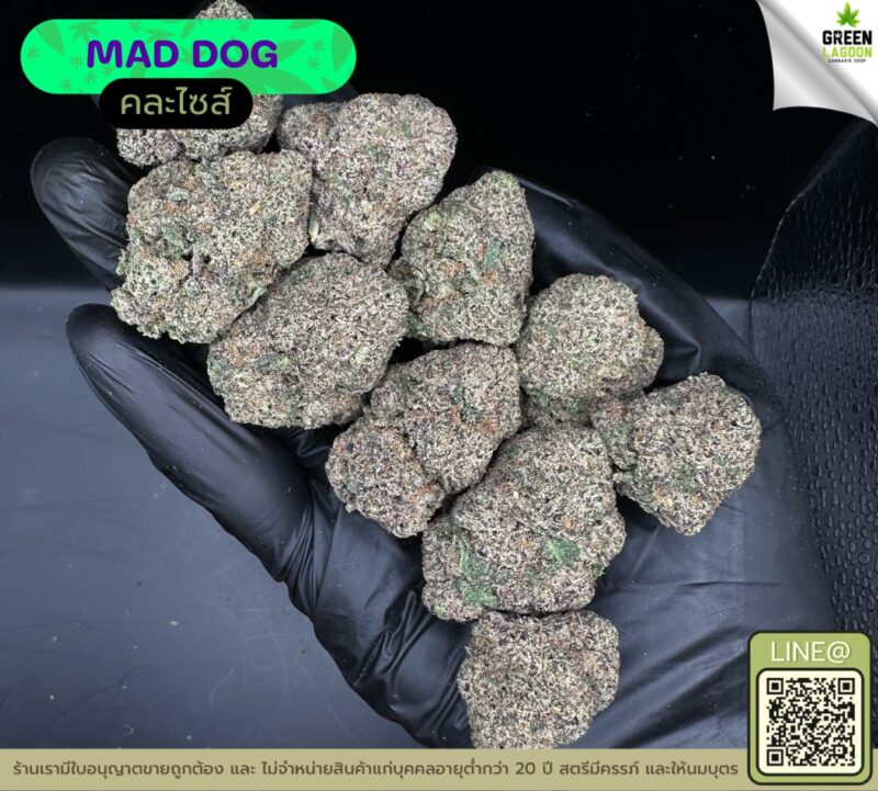 Mad dog