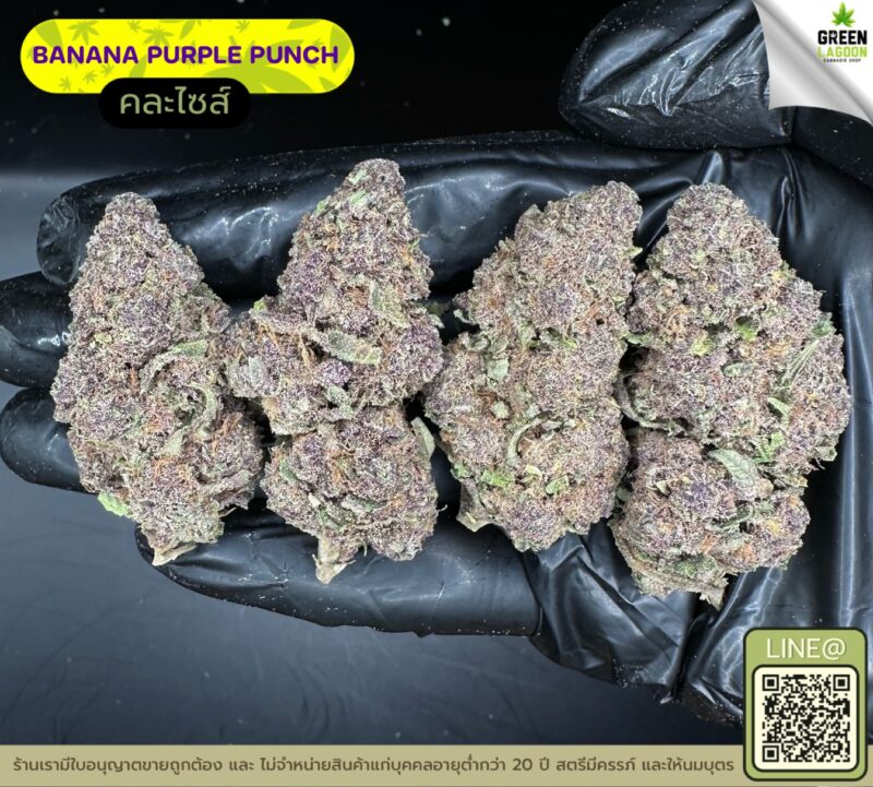 Banana purple punch