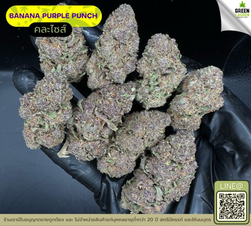 Banana purple punch