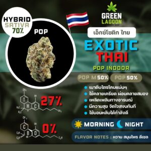 Exotic thai