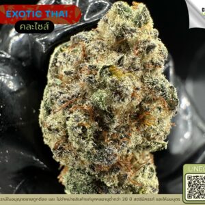 Exotic thai