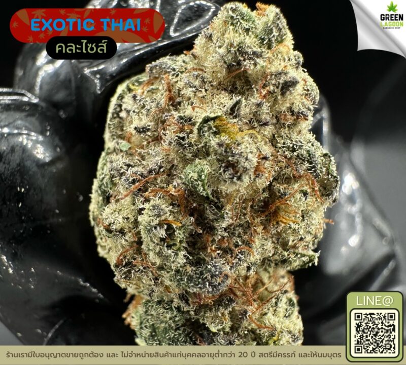 Exotic thai