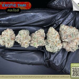 Exotic thai