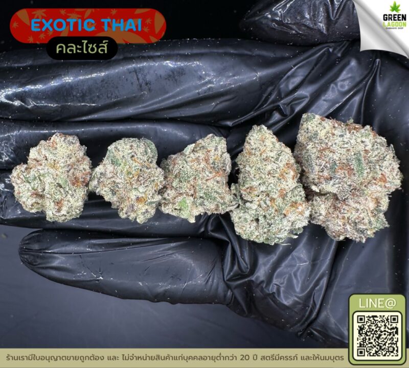 Exotic thai