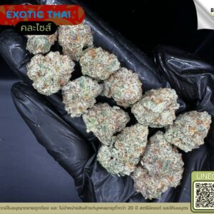 Exotic thai