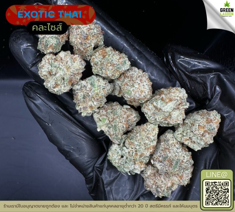 Exotic thai