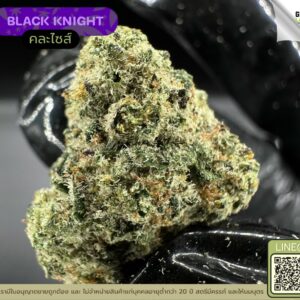 Black knight