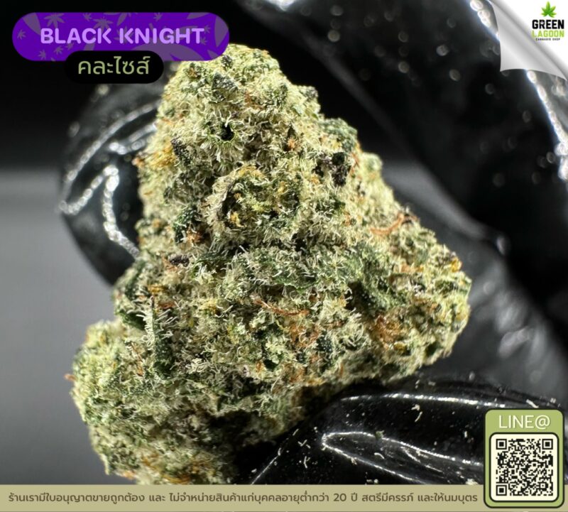 Black knight