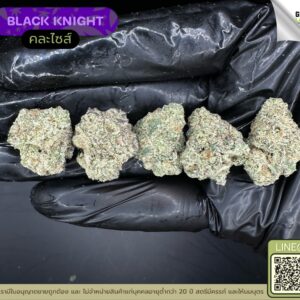 Black knight