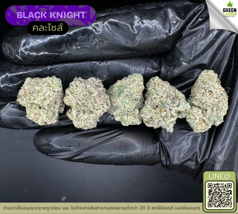 Black knight