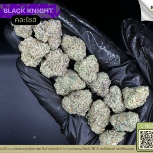 Black knight