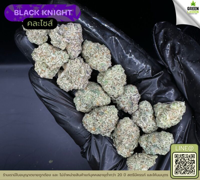 Black knight