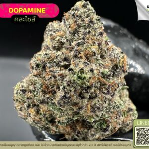 Dopamine