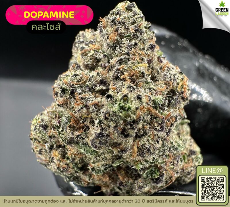 Dopamine
