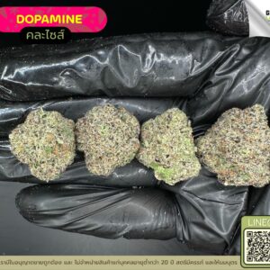 Dopamine