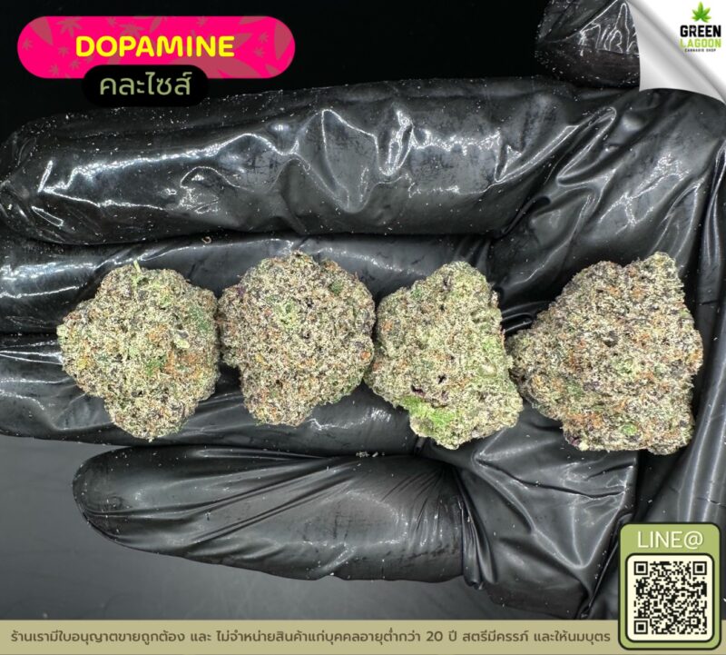Dopamine