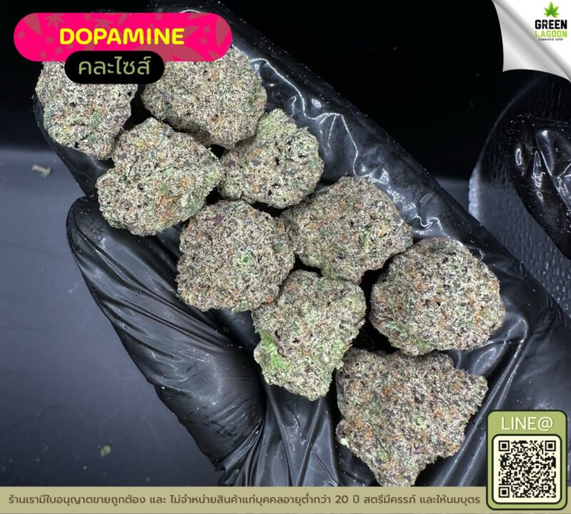 Dopamine