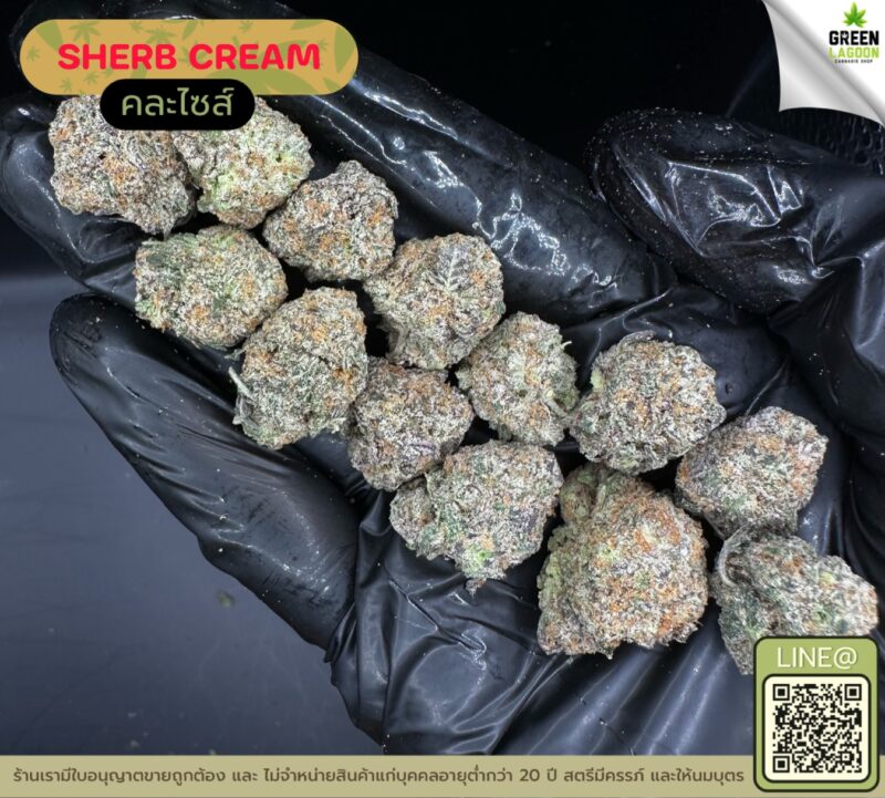 Sherb cream