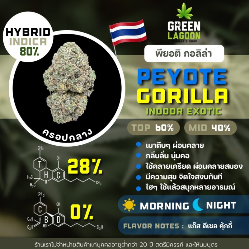 Peyote gorilla