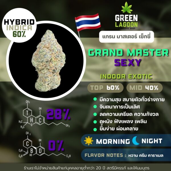 Grand master sexy
