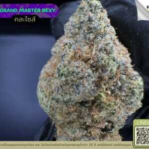 Grand master sexy