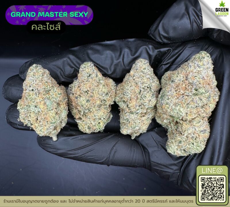 Grand master sexy