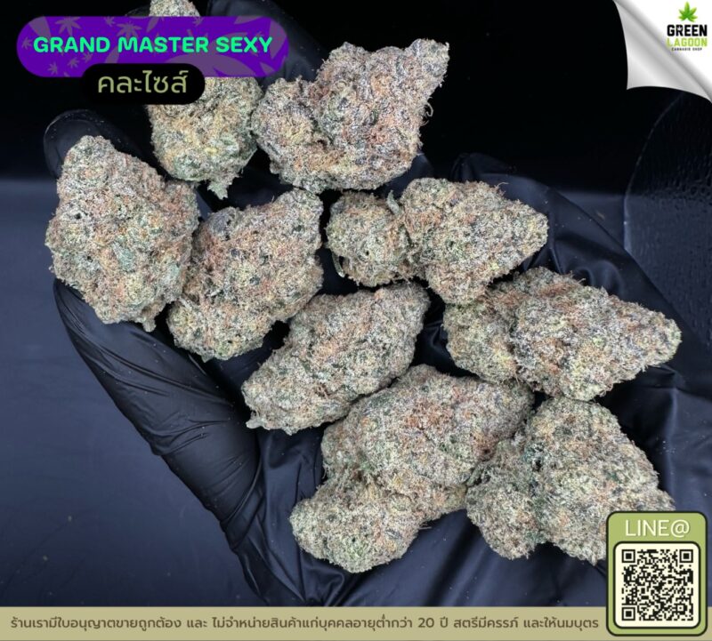 Grand master sexy