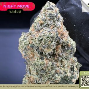 Night move