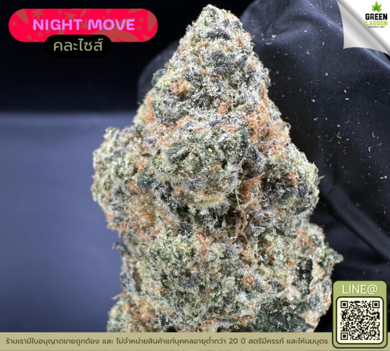 Night move