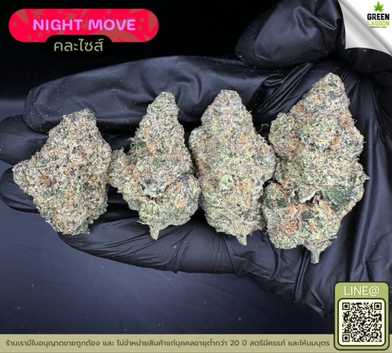 Night move