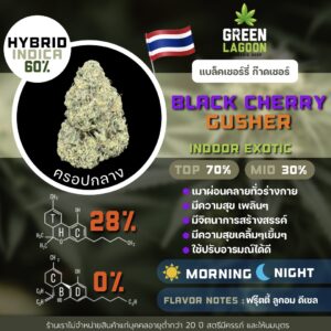 Black cherry gusher