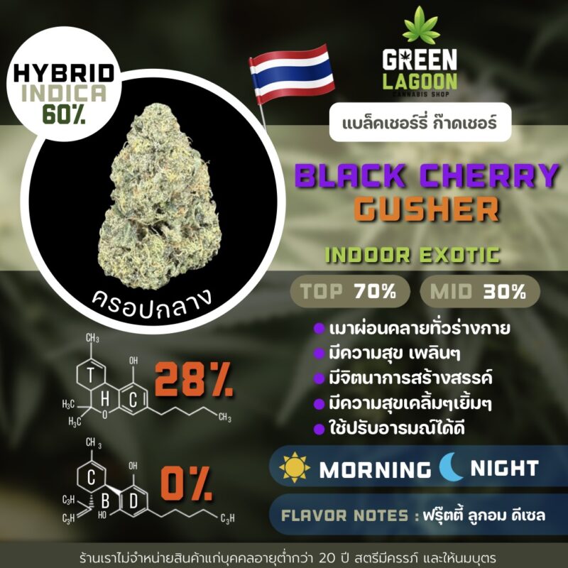 Black cherry gusher