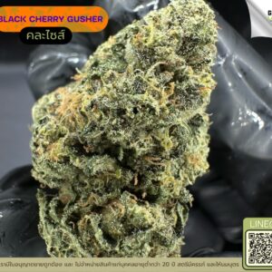 Black cherry gusher