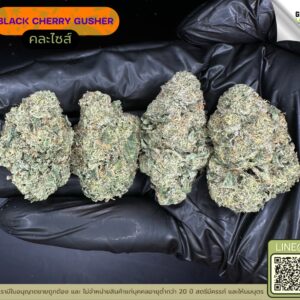 Black cherry gusher