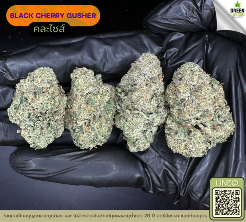 Black cherry gusher