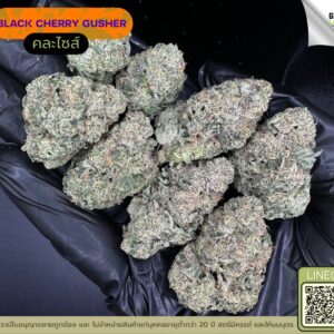Black cherry gusher