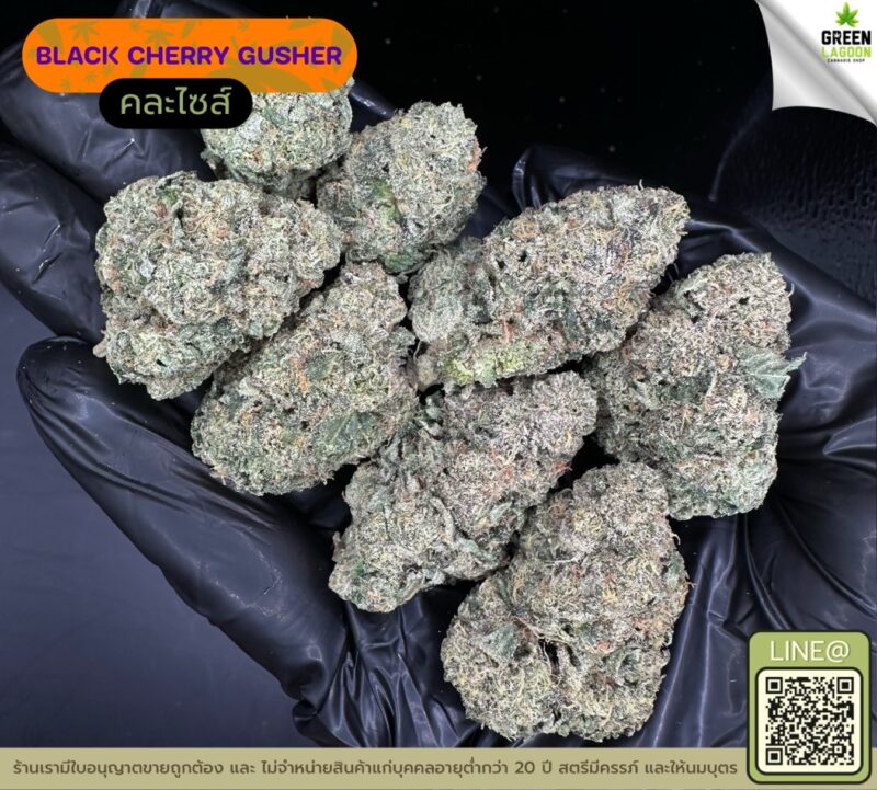 Black cherry gusher