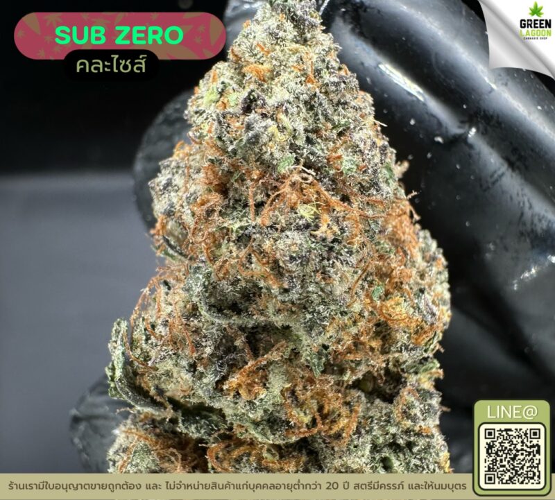 Subzero