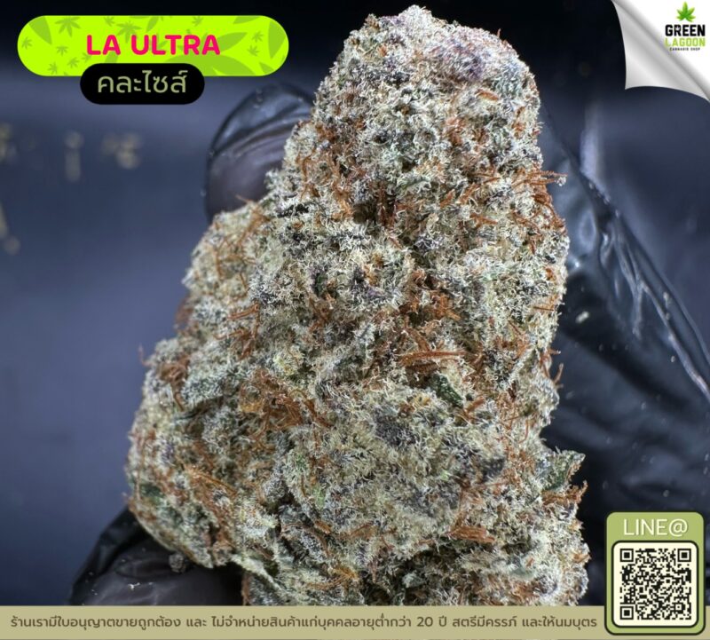 LA Ultra