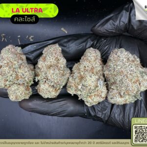 LA Ultra