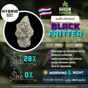 Black fritter