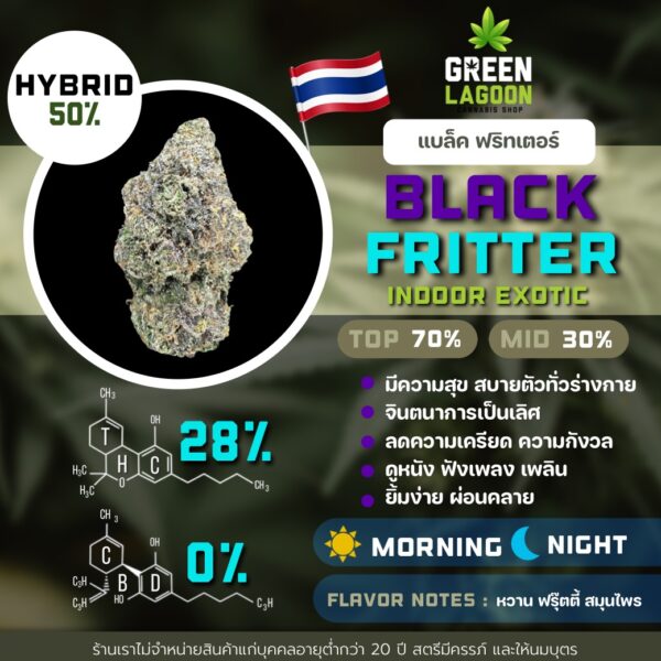 Black fritter