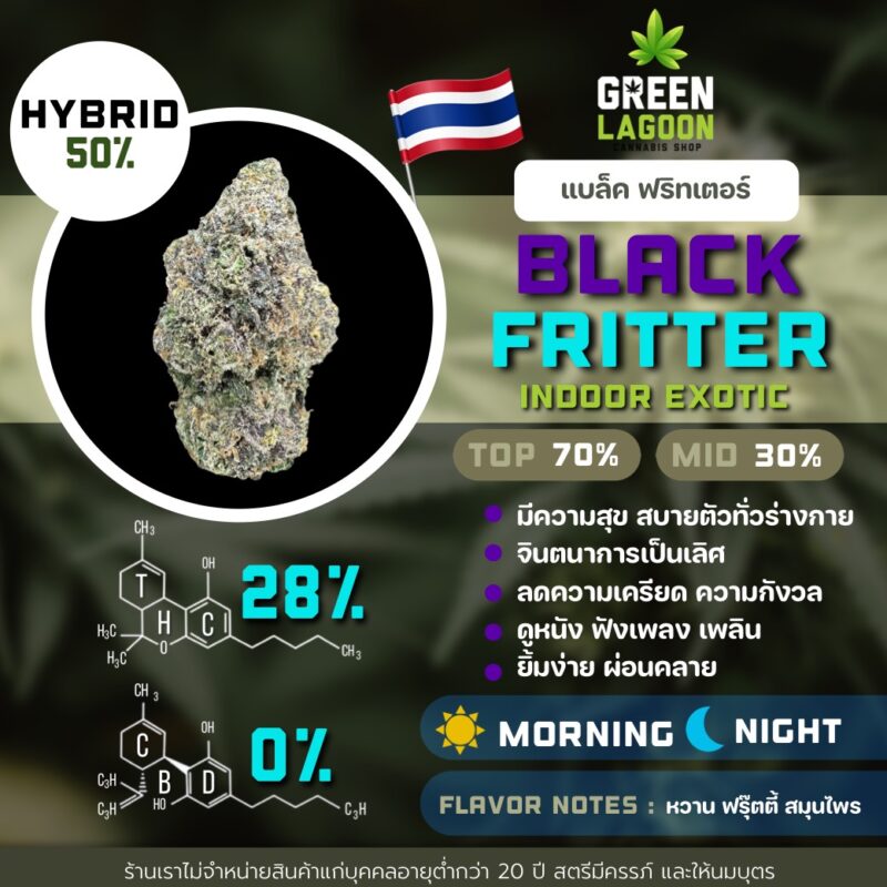 Black fritter