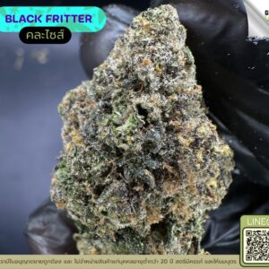Black fritter