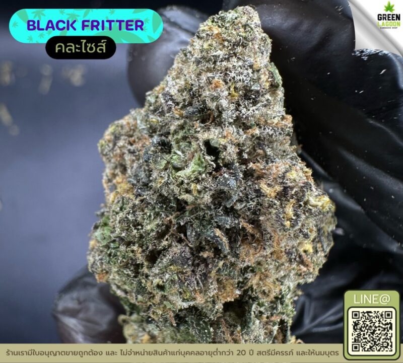 Black fritter