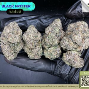 Black fritter