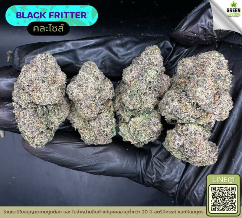 Black fritter